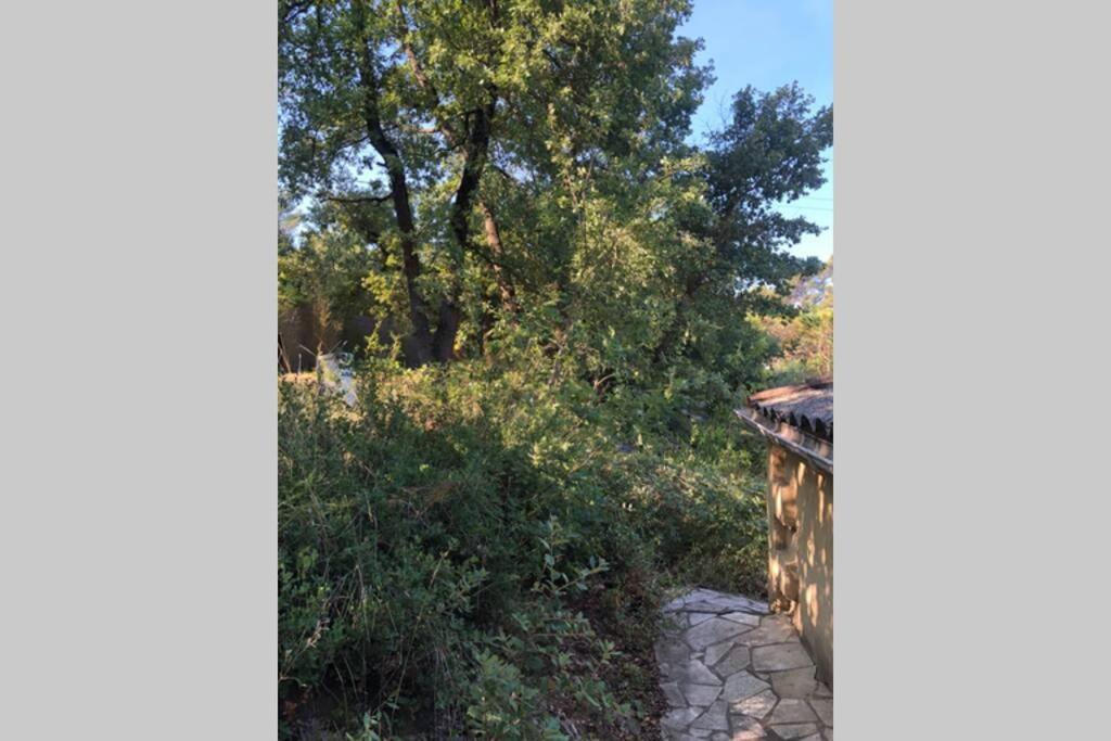 L'Escapade. Entre Aix Et Marseille, Studio Pleine Nature. Fuveau Esterno foto